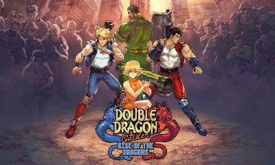 Double Dragon Gaiden: Rise of the Dragon огляд